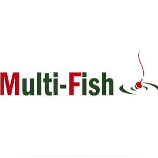 Статистика Дзен Multi-Fish TV Максим Балаев