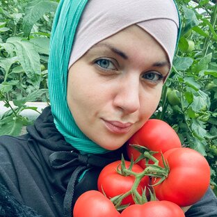 Статистика Дзен Tatianka Fermer