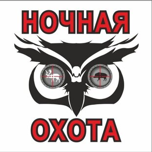 Статистика Дзен НОЧНАЯ ОХОТА