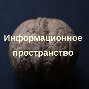 Статистика Дзен Информационное пространство