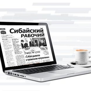 Статистика Дзен Газета "Сибайский рабочий"