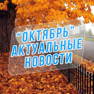 Статистика Дзен Новости Миякинского района