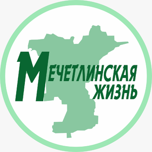 Статистика Дзен Мечетлинская жизнь