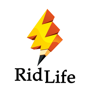 Дзен RidLife статистика