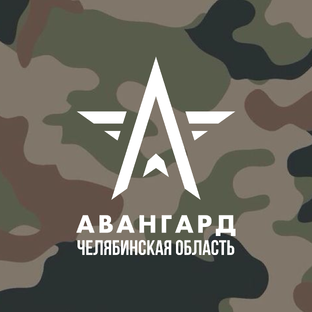 Статистика Дзен Центр Авангард Челябинская область