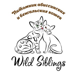 Статистика Дзен Wild Siblings