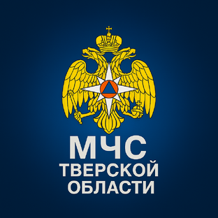 Статистика Дзен МЧС Тверской области