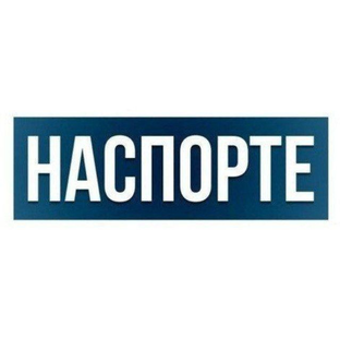 Статистика Дзен НАСПОРТЕ