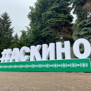 Статистика Дзен Аскинская новь