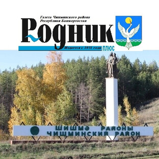 Статистика Дзен Чишминские новости