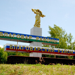 Статистика Дзен Благоварские вести