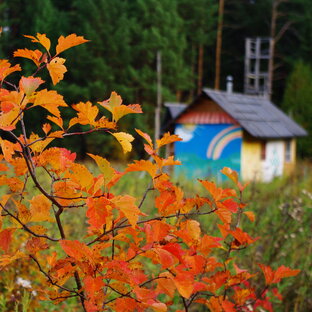 Родовое поместье ВеЛес