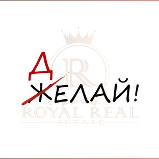 Статистика Дзен www@realtyrr.com