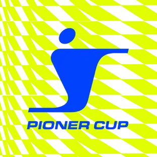Статистика Дзен Pioner Cup