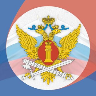 Статистика Дзен ФСИН взгляд изнутри