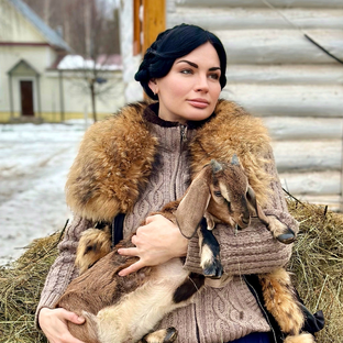 Статистика Дзен Евдошино Подворье