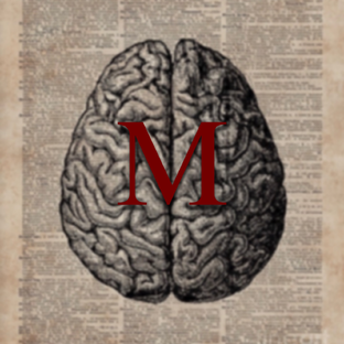 Статистика Дзен Marie 🤍 psychologie