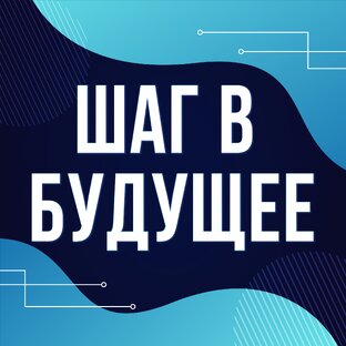 Статистика Дзен Информатика ЕГЭ | Шаг в будущее