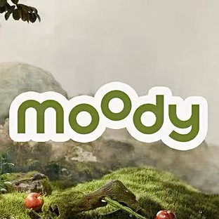 Статистика Дзен Оттеночные линзы moody 