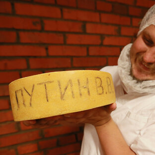 Дзен Пармезан. ТВ статистика