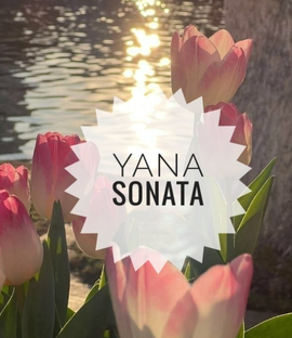 Статистика Дзен YANA_SONATA