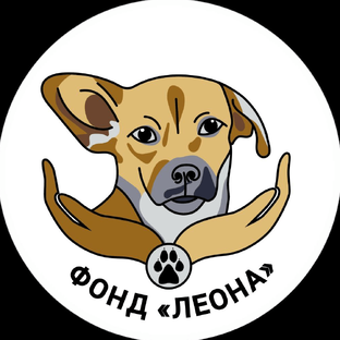 Статистика Дзен Фонд "Леона"