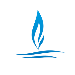 Статистика Дзен RISPA Gruop
