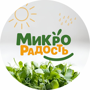 Статистика Дзен Микро Радость