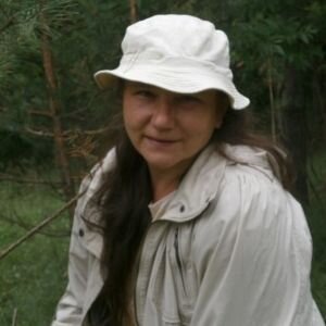 Статистика Дзен Ann Zaruba Искусство жить за городом