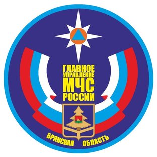 Статистика Дзен МЧС Брянской области