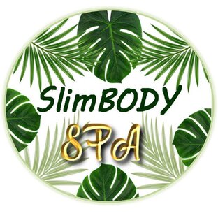 Дзен SlimBody статистика