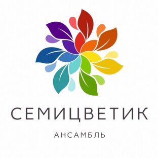 Статистика Дзен Ансамбль «Семицветик»
