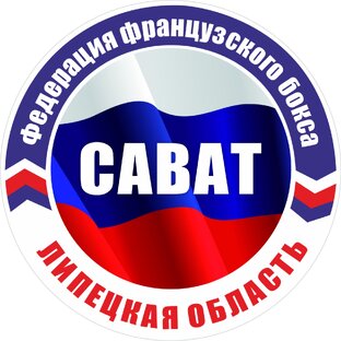 Статистика Дзен ФЕДЕРАЦИЯ САВАТА ЛИПЕЦКОЙ ОБЛАСТИ