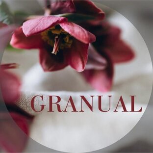 Статистика Дзен Дом Красоты GRANUAL