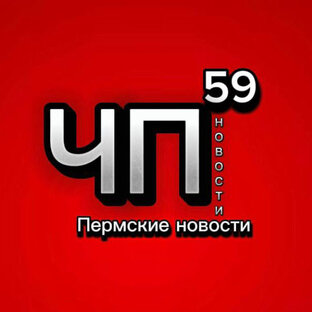 Статистика Дзен Пермские Новости | ЧП