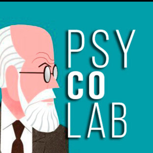 Статистика Дзен Psy-co-lab