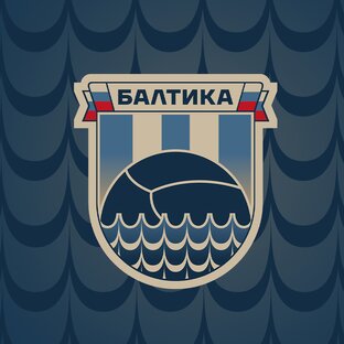 Статистика Дзен ФК «Балтика»