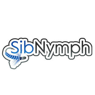 Статистика Дзен SibNymph - Сибирская нимфа