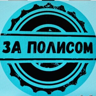 Статистика Дзен За полисом