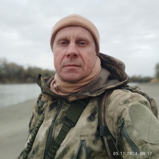 Статистика Дзен Птицы Краснодара.