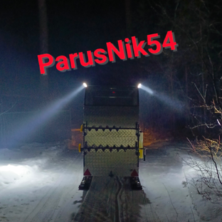Дзен ParusNik54 статистика