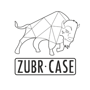 Статистика Дзен zubrcase