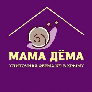 Статистика Дзен Мама Дёма 🐌улиточная ферма № 1 в Крыму