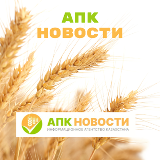 Статистика Дзен АПК Новости
