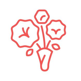 Статистика Дзен Pro цветочный бизнес | Автоматизация, закупки, маркетинг