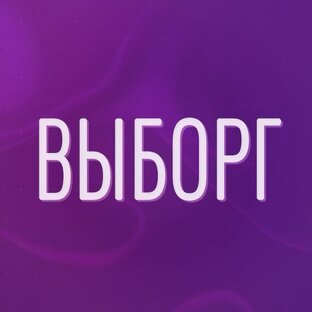 Дзен Форум Выборга статистика