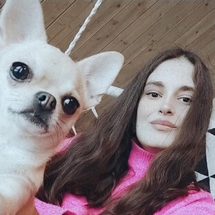 Статистика Дзен Чих & Компания