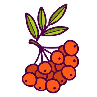 Статистика Дзен Рябина уДачи