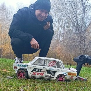 Статистика Дзен LEMON rc 
радиоуправляемые модели