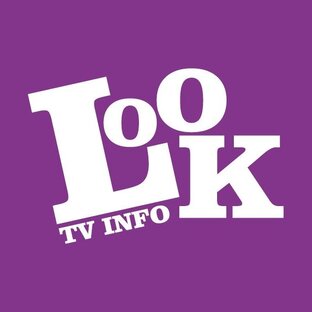 Статистика Дзен LOOK TV INFO